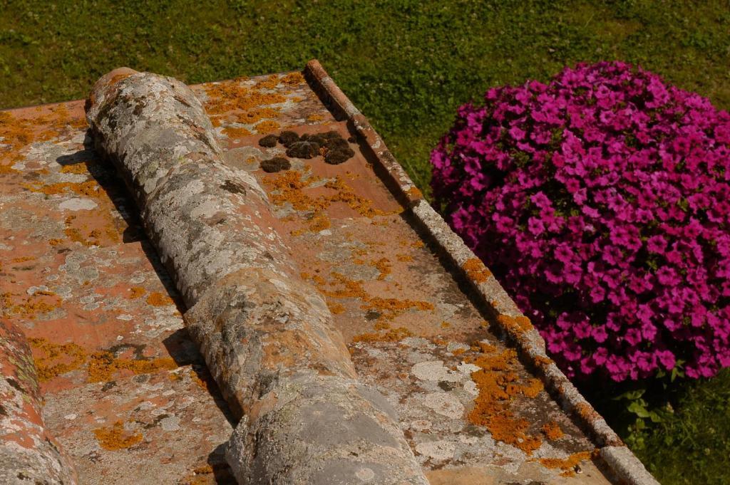Bed & Breakfast Antico Casale San Lorenzo Ponte A Bozzone Exterior photo